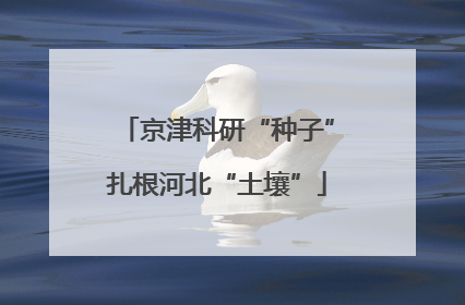 京津科研“种子”扎根河北“土壤”