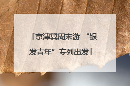 京津冀周末游 “银发青年”专列出发