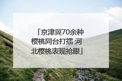 京津冀70余种樱桃同台打擂 河北樱桃表现抢眼