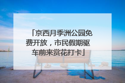 京西月季洲公园免费开放，市民假期驱车前来赏花打卡