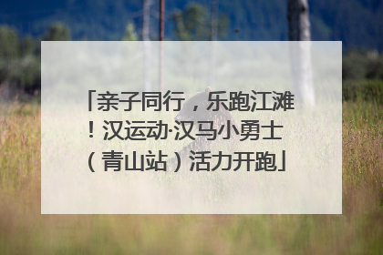 亲子同行，乐跑江滩！汉运动·汉马小勇士（青山站）活力开跑
