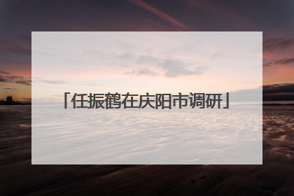 任振鹤在庆阳市调研