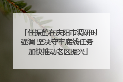任振鹤在庆阳市调研时强调 坚决守牢底线任务 加快推动老区振兴