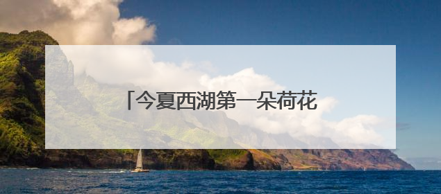 今夏西湖第一朵荷花开啦，比去年早5天