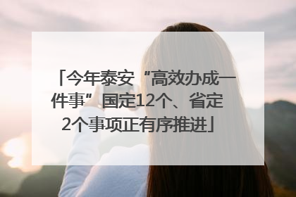 今年泰安“高效办成一件事”国定12个、省定2个事项正有序推进