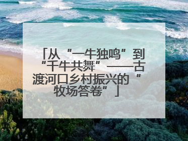 从“一牛独鸣”到“千牛共舞”——古渡河口乡村振兴的“牧场答卷”