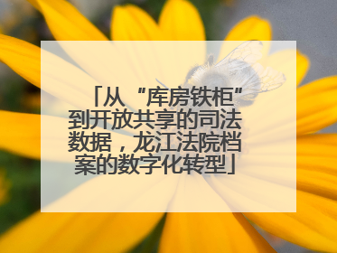 从“库房铁柜”到开放共享的司法数据，龙江法院档案的数字化转型