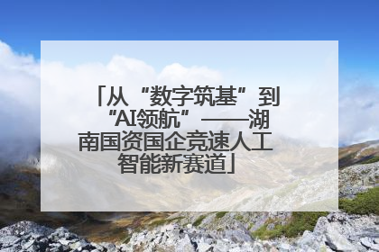 从“数字筑基”到“AI领航”——湖南国资国企竞速人工智能新赛道