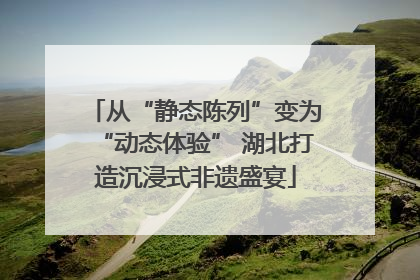 从“静态陈列”变为“动态体验” 湖北打造沉浸式非遗盛宴