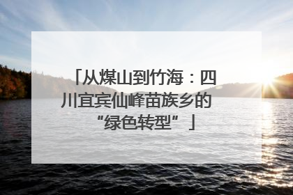 从煤山到竹海：四川宜宾仙峰苗族乡的“绿色转型”