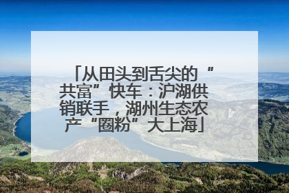 从田头到舌尖的“共富”快车：沪湖供销联手，湖州生态农产“圈粉”大上海