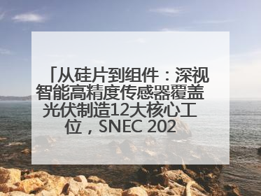 从硅片到组件：深视智能高精度传感器覆盖光伏制造12大核心工位，SNEC 2025诚邀见证