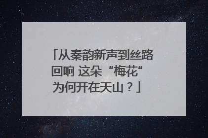 从秦韵新声到丝路回响 这朵“梅花”为何开在天山？