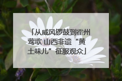 从威风锣鼓到霍州莺歌 山西非遗“黄土味儿”征服观众