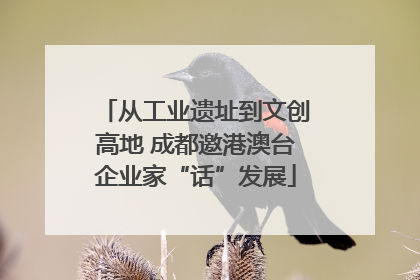 从工业遗址到文创高地 成都邀港澳台企业家“话”发展