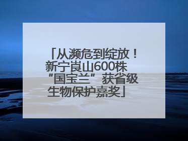 从濒危到绽放！新宁崀山600株“国宝兰”获省级生物保护嘉奖