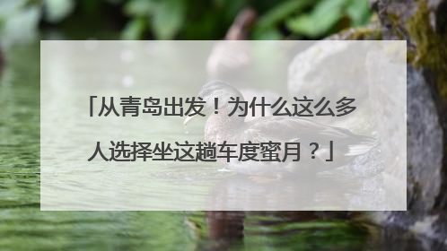 从青岛出发！为什么这么多人选择坐这趟车度蜜月？