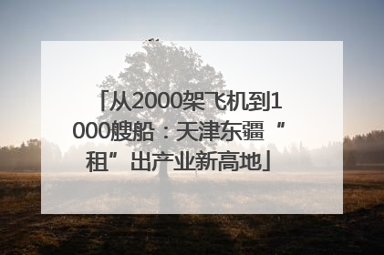 从2000架飞机到1000艘船：天津东疆“租”出产业新高地