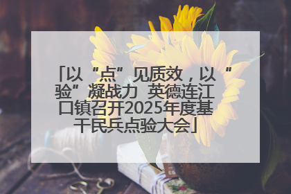 以“点”见质效，以“验”凝战力  英德连江口镇召开2025年度基干民兵点验大会
