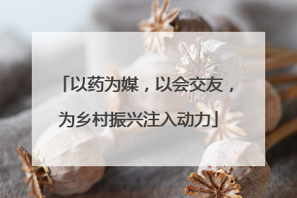 以药为媒，以会交友，为乡村振兴注入动力