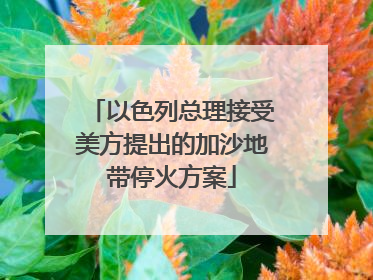 以色列总理接受美方提出的加沙地带停火方案