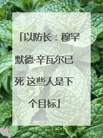 以防长：穆罕默德·辛瓦尔已死 这些人是下个目标