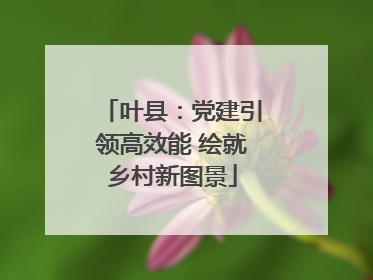 叶县：党建引领高效能 绘就乡村新图景