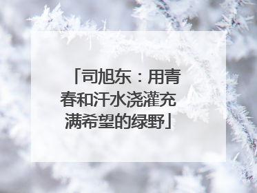 司旭东：用青春和汗水浇灌充满希望的绿野