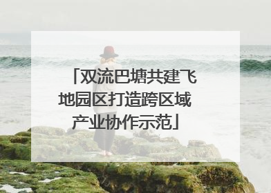 双流巴塘共建飞地园区打造跨区域产业协作示范