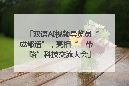双语AI视频导览员“成都造”，亮相“一带一路”科技交流大会