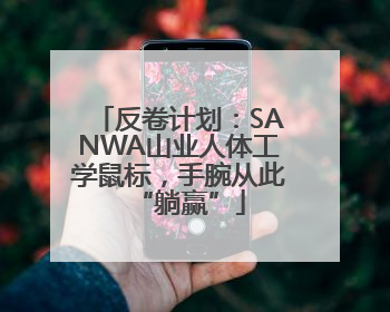 反卷计划：SANWA山业人体工学鼠标，手腕从此“躺赢”
