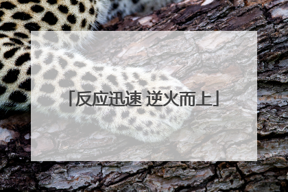 反应迅速 逆火而上