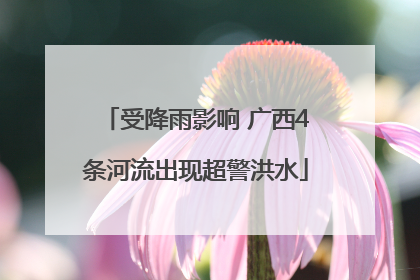 受降雨影响 广西4条河流出现超警洪水