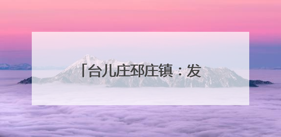台儿庄邳庄镇：发挥人大监督作用 助力人居环境提升