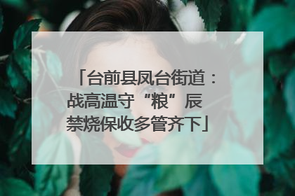 台前县凤台街道：战高温守“粮”辰 禁烧保收多管齐下