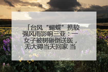 台风“蝴蝶”携较强风雨影响三亚：一女子被树砸倒送医，无大碍当天回家 当地已紧急清障