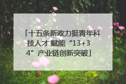 十五条新政力挺青年科技人才 赋能“13+34”产业链创新突破