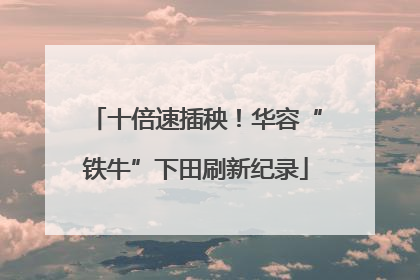 十倍速插秧！华容“铁牛”下田刷新纪录