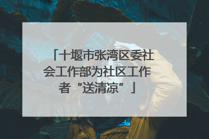 十堰市张湾区委社会工作部为社区工作者“送清凉”