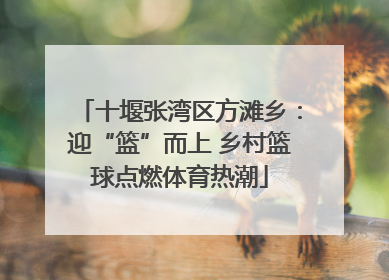 十堰张湾区方滩乡：迎“篮”而上 乡村篮球点燃体育热潮
