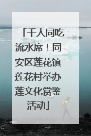千人同吃流水席！同安区莲花镇莲花村举办莲文化赏鉴活动