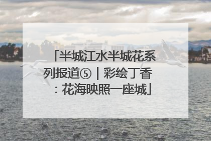 半城江水半城花系列报道⑤｜彩绘丁香：花海映照一座城