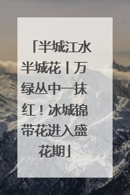 半城江水半城花丨万绿丛中一抹红！冰城锦带花进入盛花期