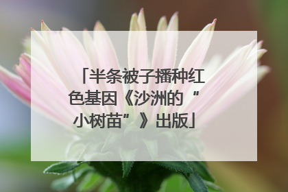 半条被子播种红色基因《沙洲的“小树苗”》出版