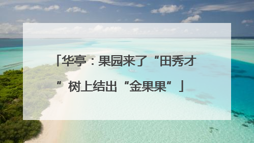华亭：果园来了“田秀才”树上结出“金果果”