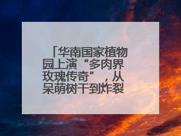 华南国家植物园上演“多肉界玫瑰传奇”，从呆萌树干到炸裂种子全是戏！