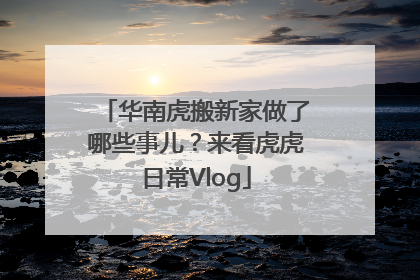 华南虎搬新家做了哪些事儿？来看虎虎日常Vlog