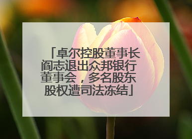 卓尔控股董事长阎志退出众邦银行董事会，多名股东股权遭司法冻结