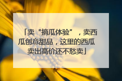 卖“摘瓜体验”，卖西瓜创意甜品，这里的西瓜卖出高价还不愁卖