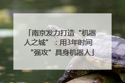 南京发力打造“机器人之城”：用3年时间“强攻”具身机器人